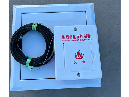 遠控執(zhí)行器1